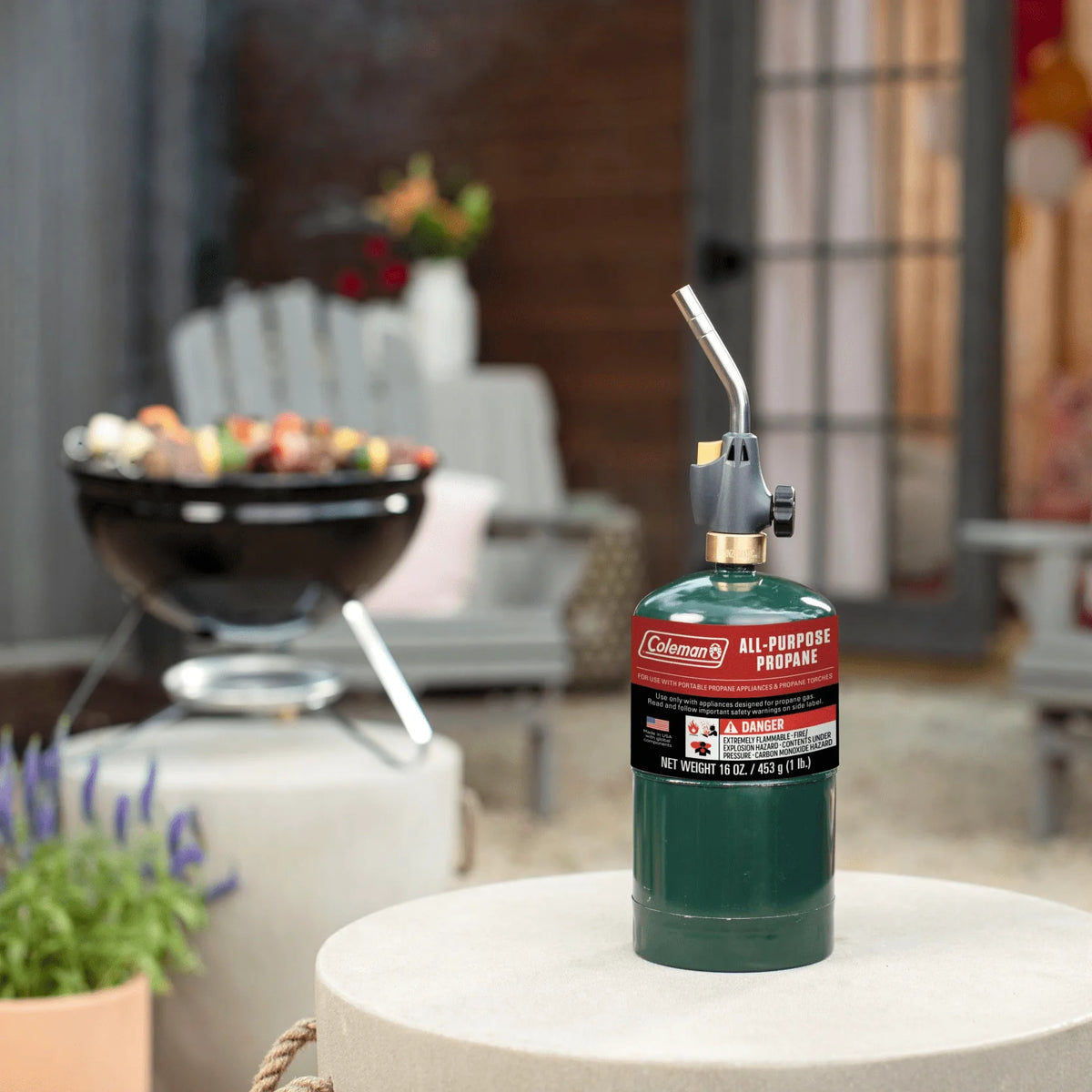 16 ounce 2-Pack Propane Gas Cylinder M8941