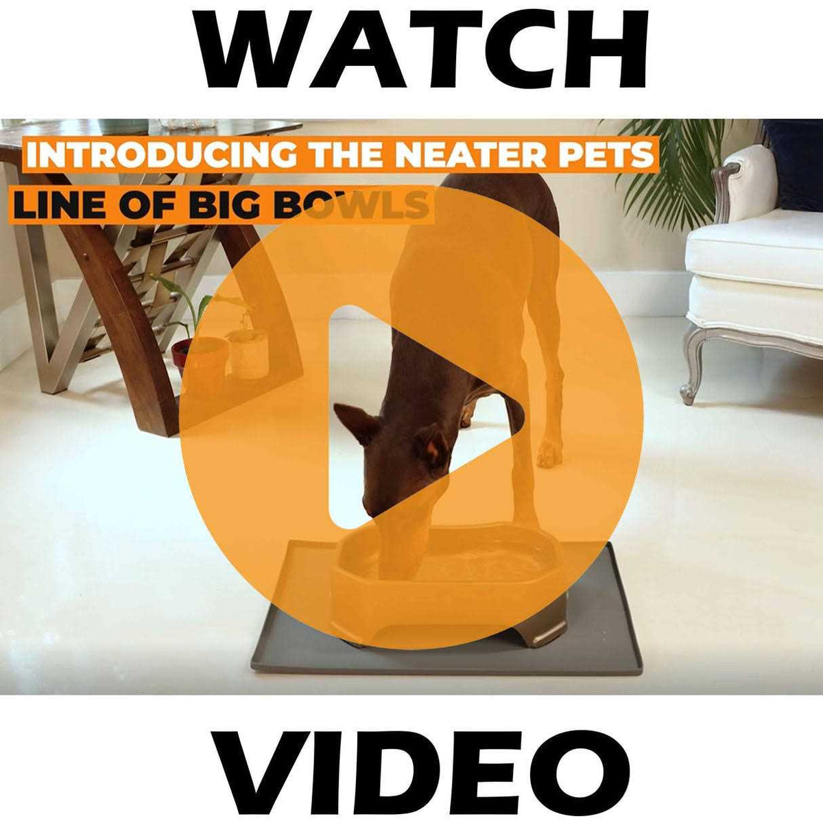 Bowl with Leg Extensions Dog Water Dish J25348
