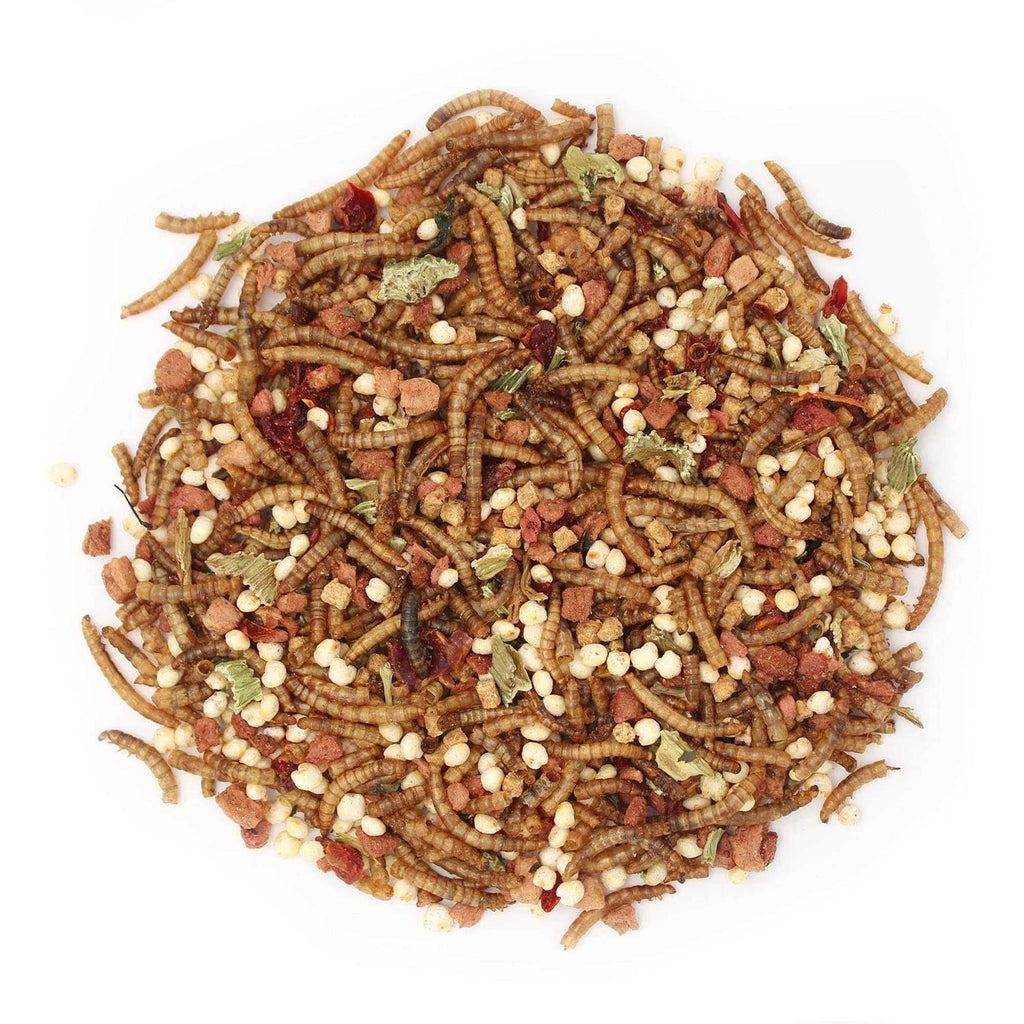 Hedgehog Treat R7259