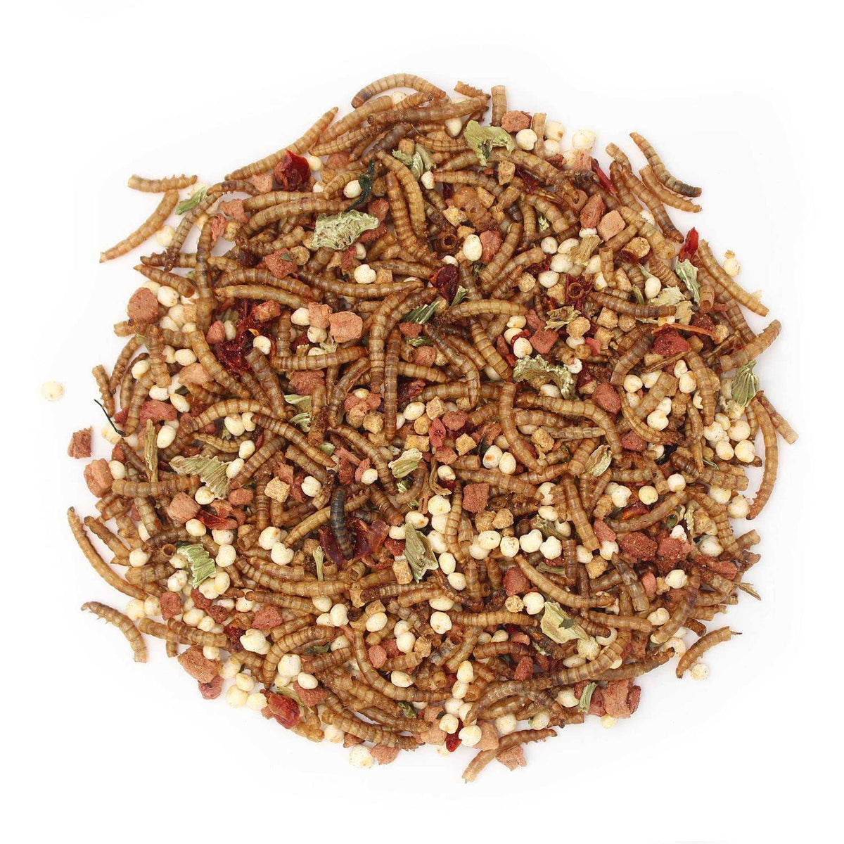 Hedgehog Treat R7259