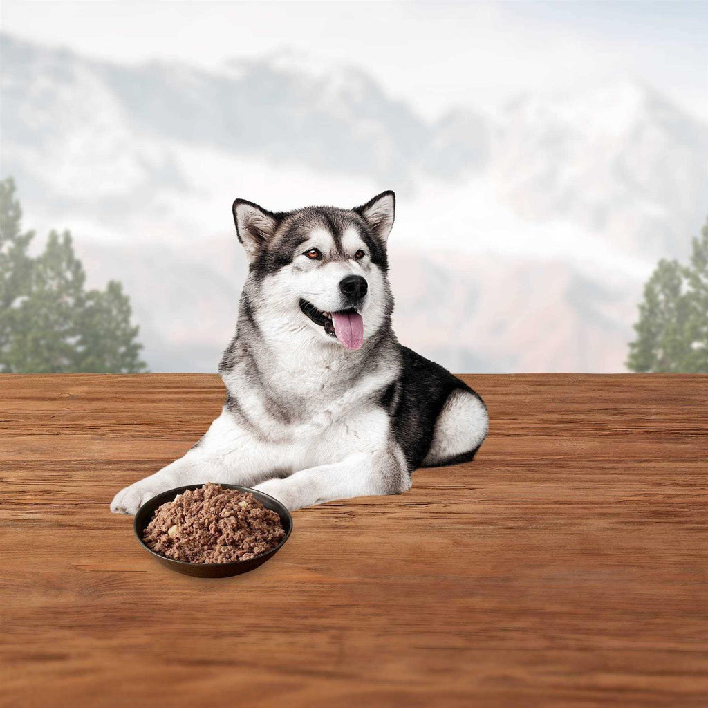 Chicken Dog Food H8520