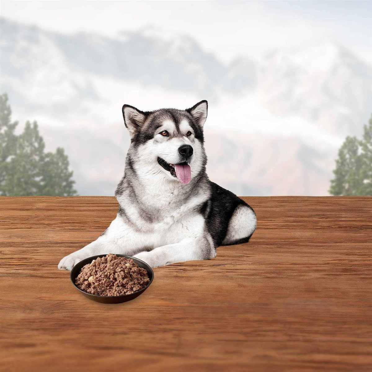 Chicken Dog Food H8520