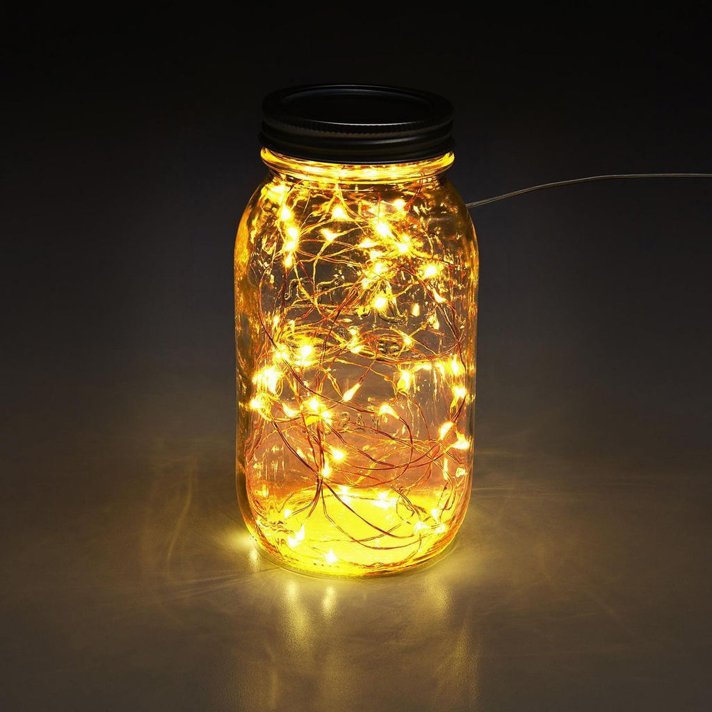 Warm White Copper Wire Lights with Remote M22815