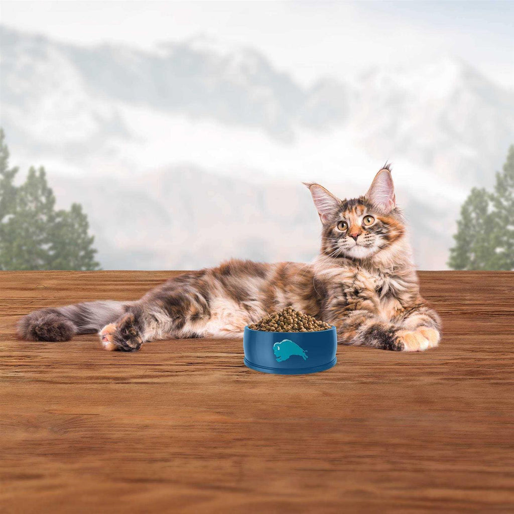 Indoor Hairball Control Cat Dry Food Z45614