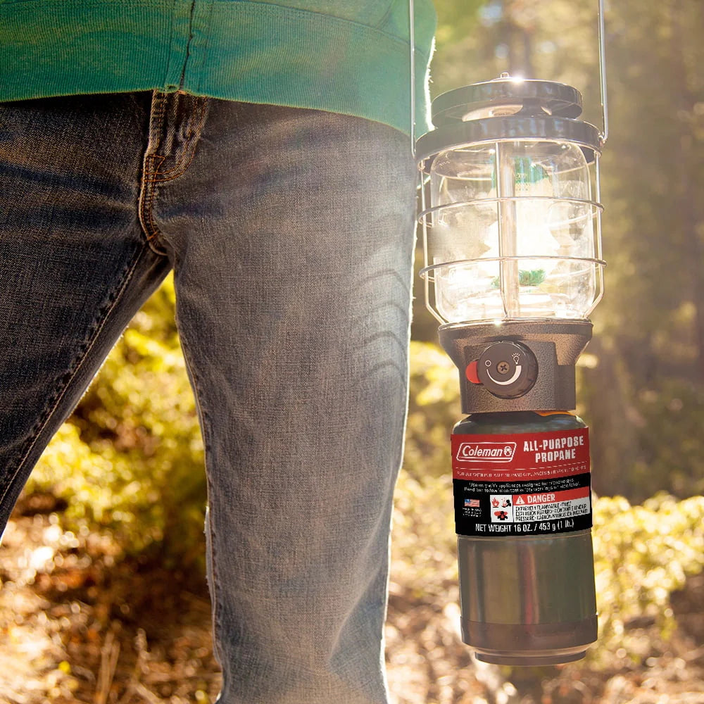 16 ounce 2-Pack Propane Gas Cylinder M8941
