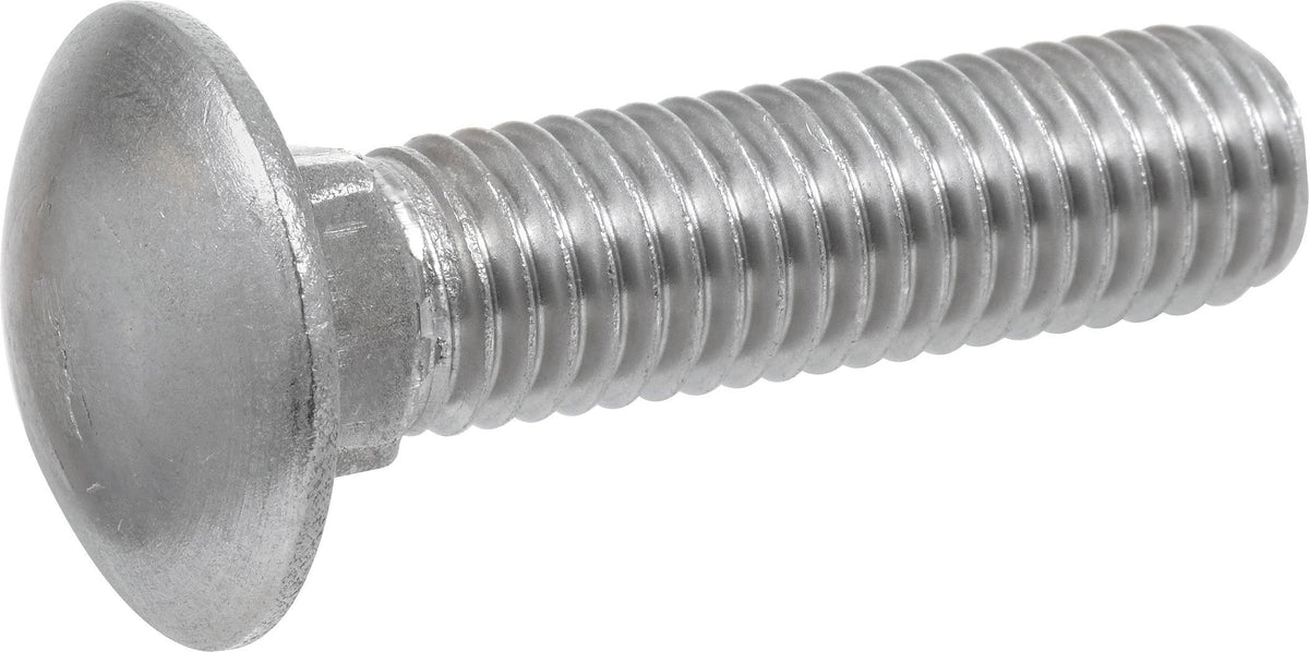 Stainless Steel Carriage Bolt, 25-Pack Y80433
