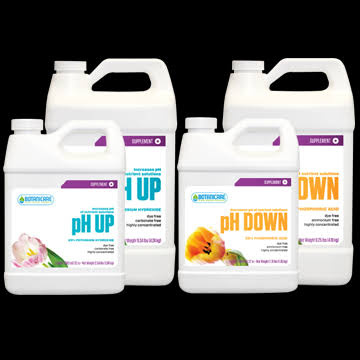 Ph Down 1 Gallon L99198