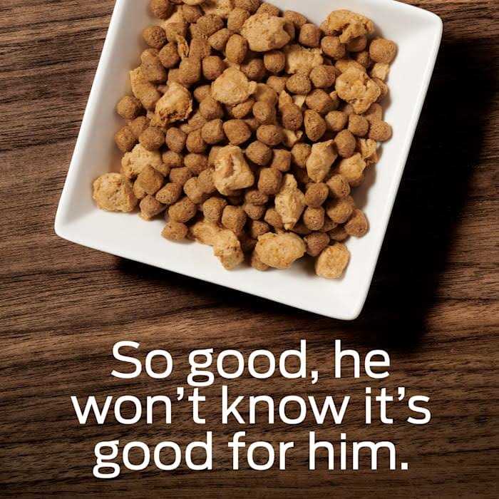 Overweight Management Dry Dog Food G854092