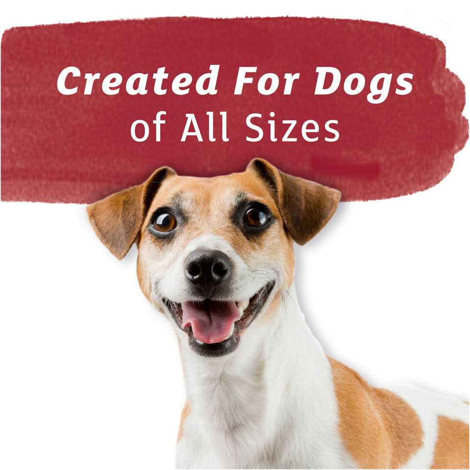 Baked Dog Treats V531713