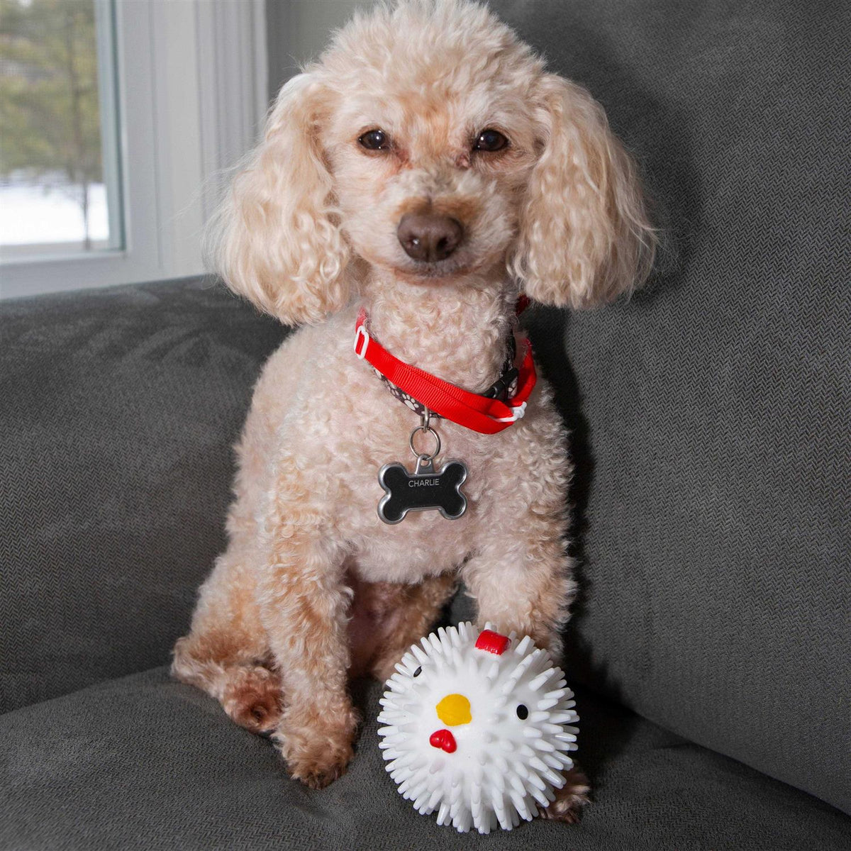 Chicken Dog Ball U2388