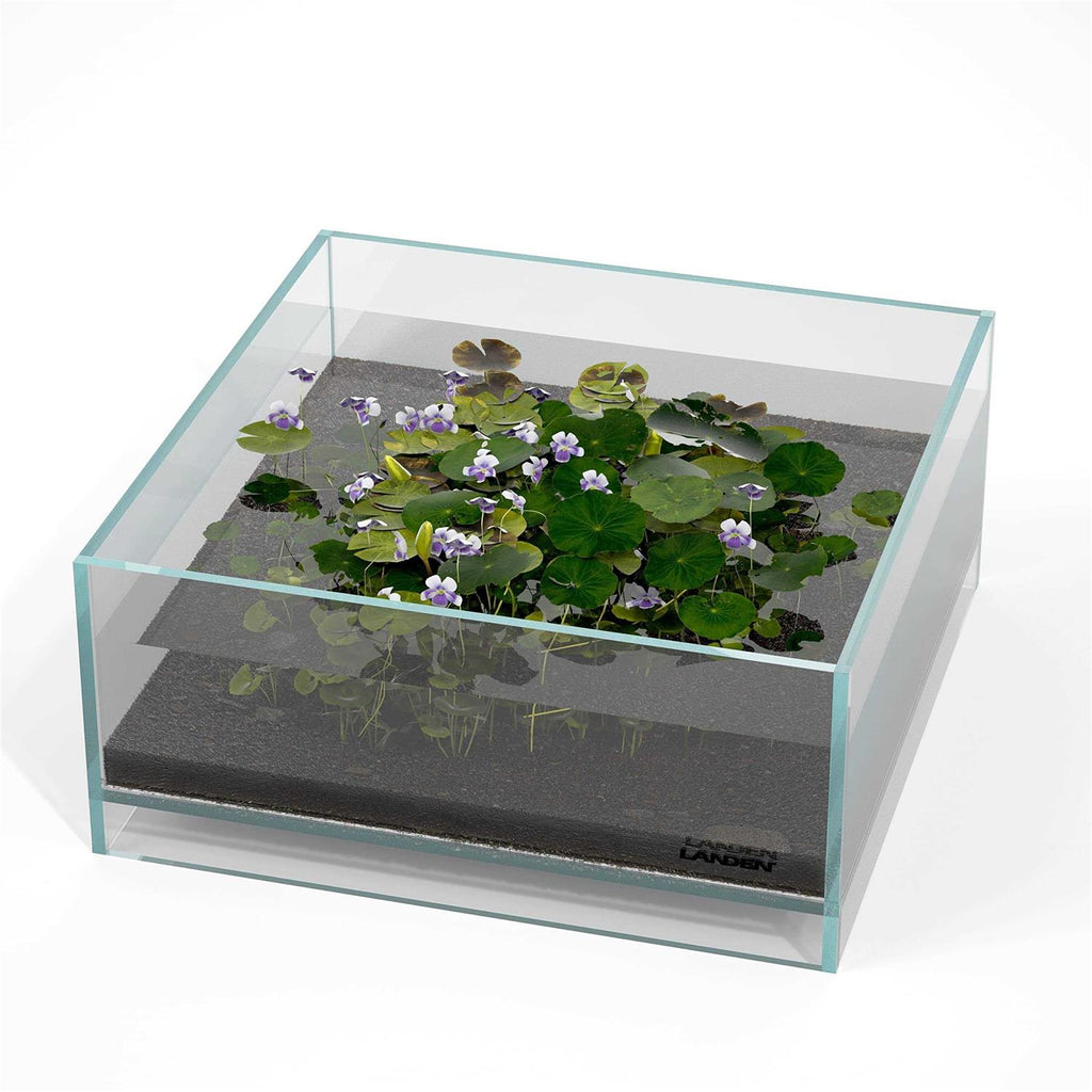 Glass Rimless Low Iron Aquarium Tank 1.6 Gallon V59385