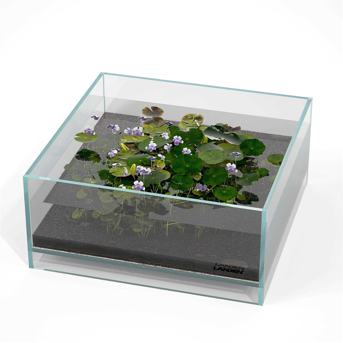 Glass Rimless Low Iron Aquarium Tank 1.6 Gallon V59385