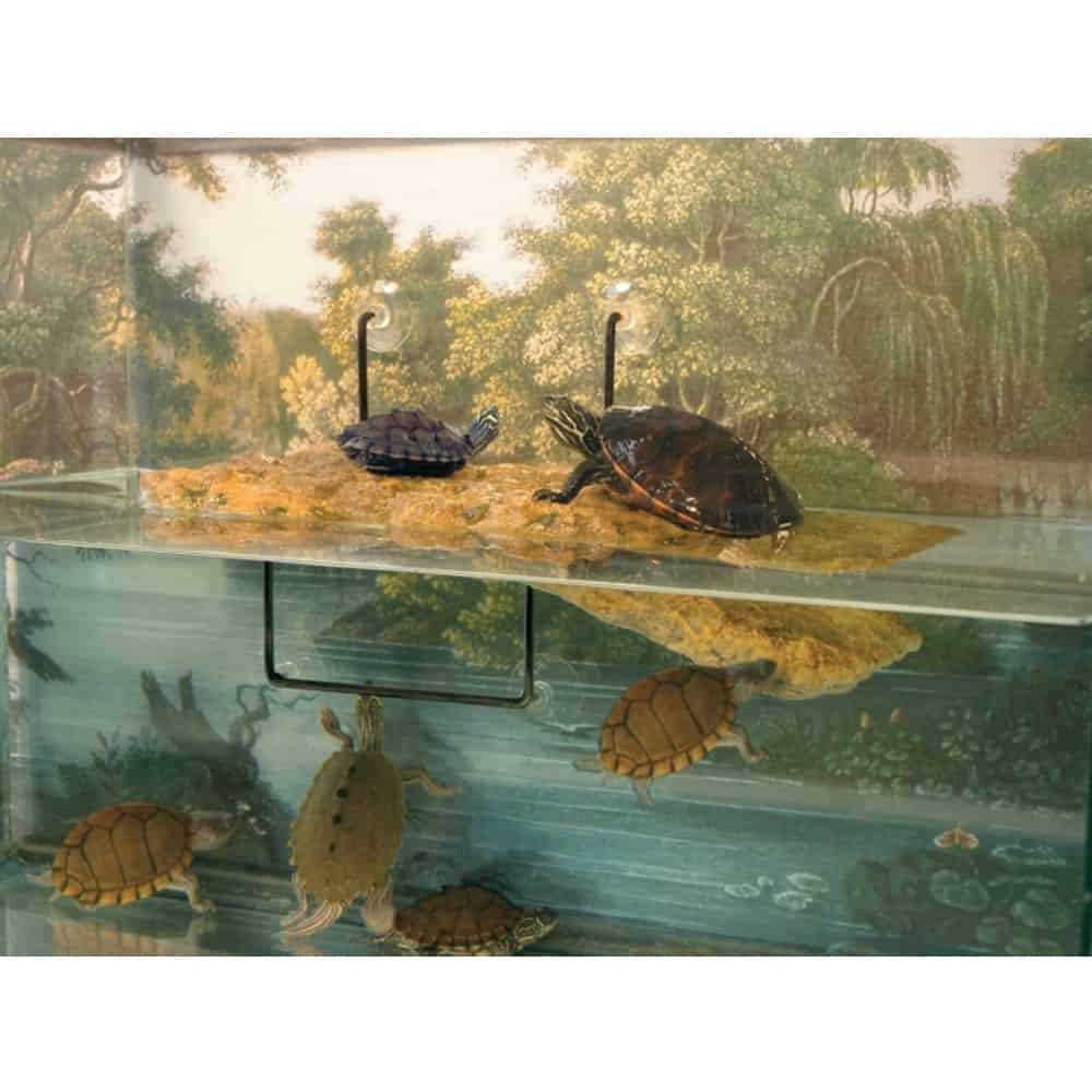 Floating Turtle Dock E10022