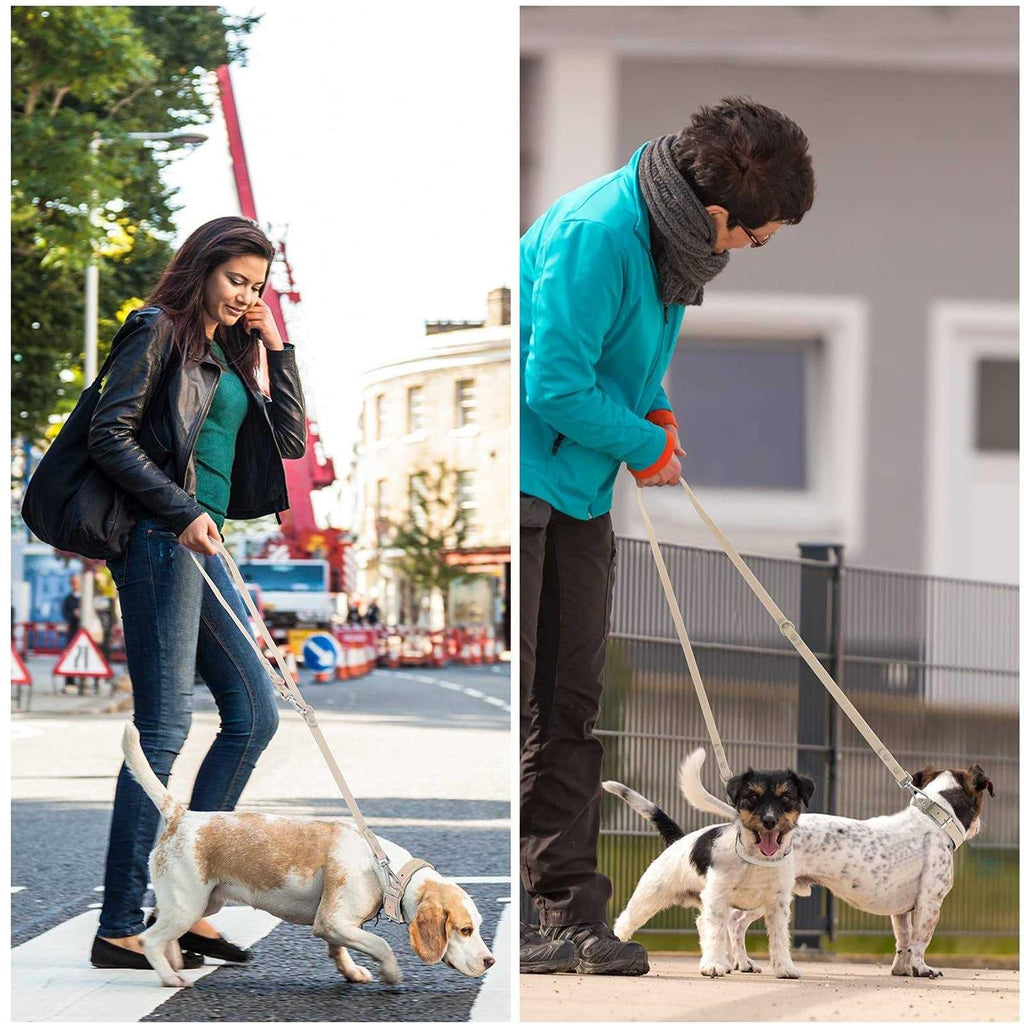 Waterproof Dog Leash with 2 Hooks R131