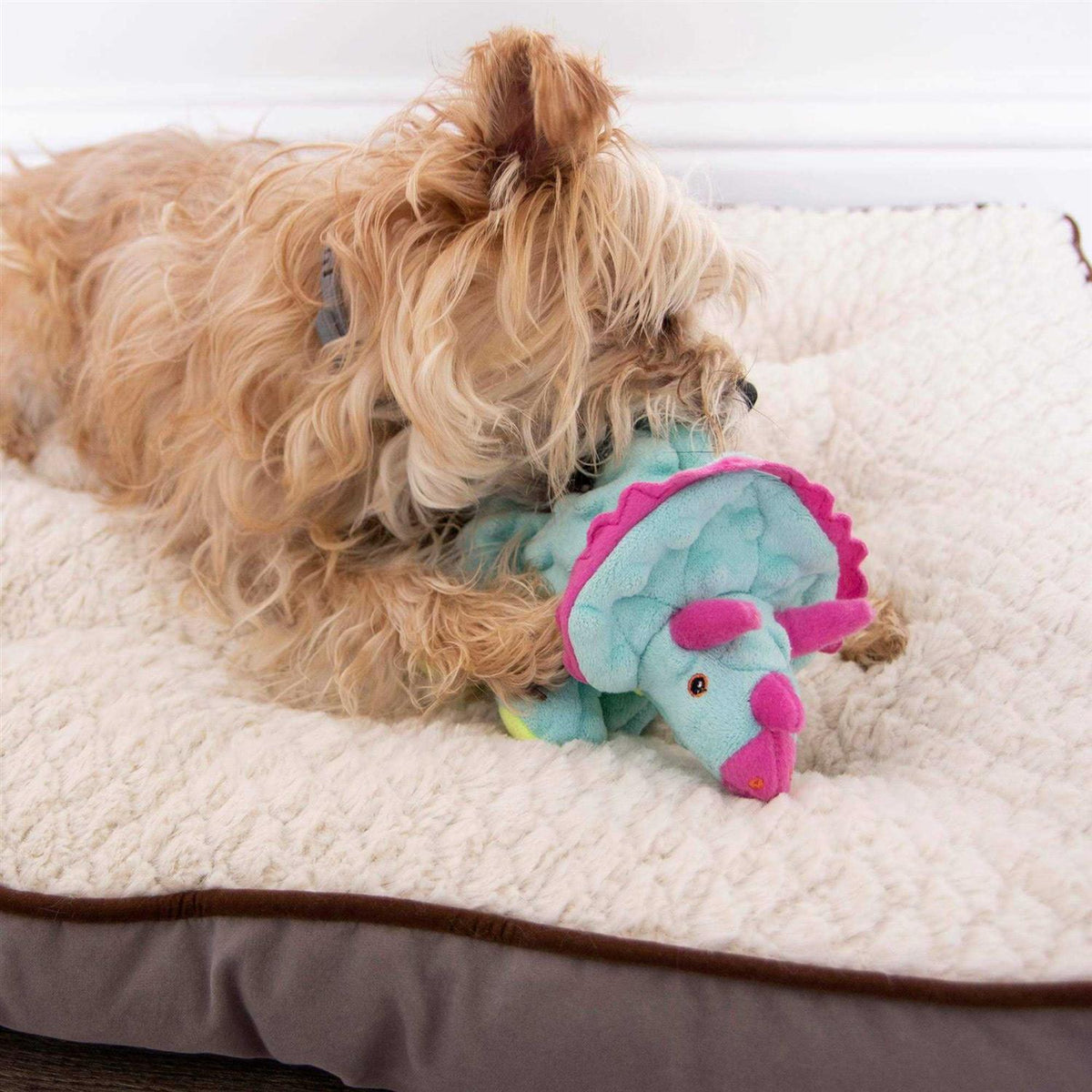 Dog Toy A990066