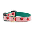 Strawberry Fields Dog Collar T8627