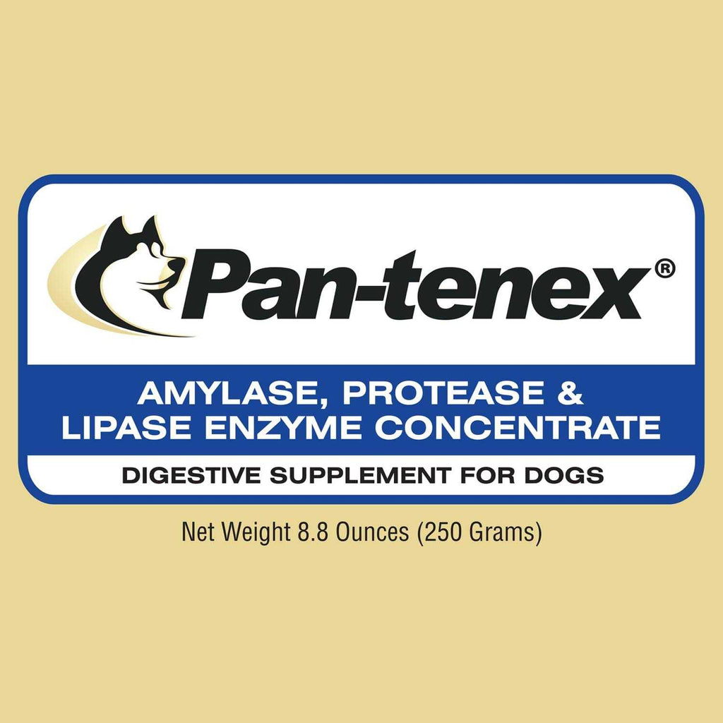 Digestive Enzymes for Dogs E571872