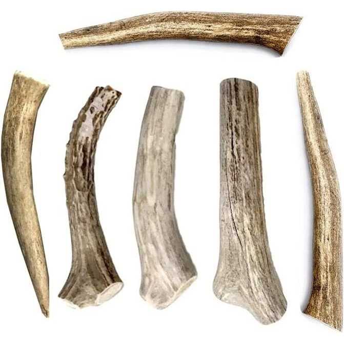 All Natural Whole Deer Antler Dog Chew Treats N9581