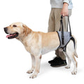 Dog Sling for Large Dogs Hind Leg Support M1134