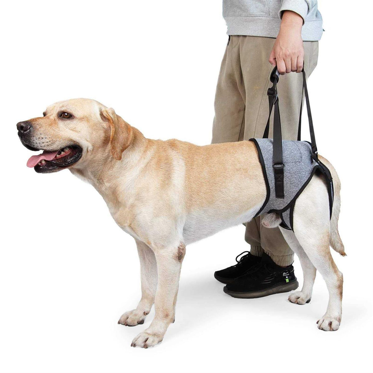 Dog Sling for Large Dogs Hind Leg Support M1134