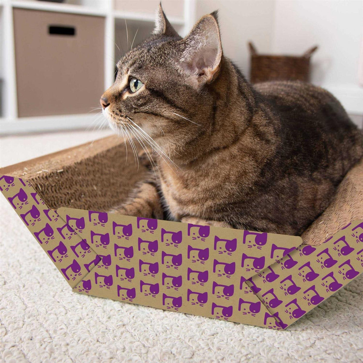 Corrugate Cat Scratcher & Lounge R831989
