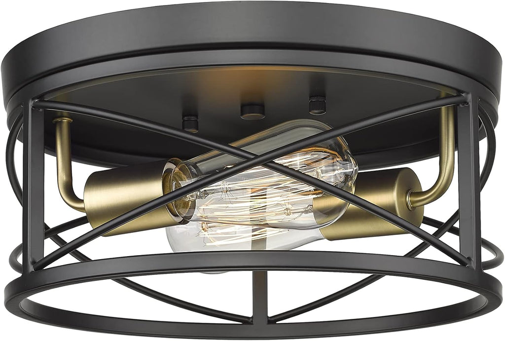 12 Inch 2-Light Flush Mount Ceiling Light Fixture V5248
