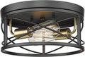 12 Inch 2-Light Flush Mount Ceiling Light Fixture V5248