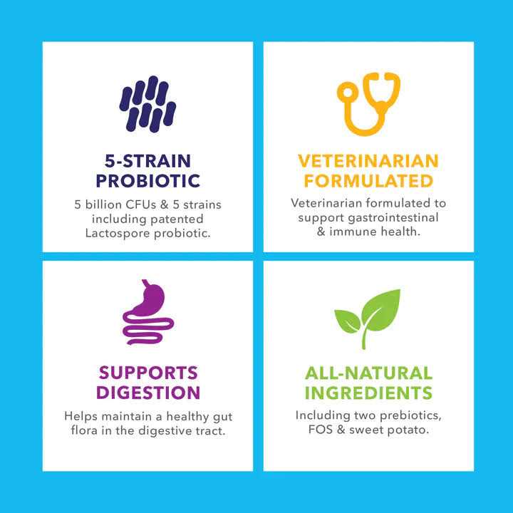 Probiotic Powder for Dogs & Cats A44977