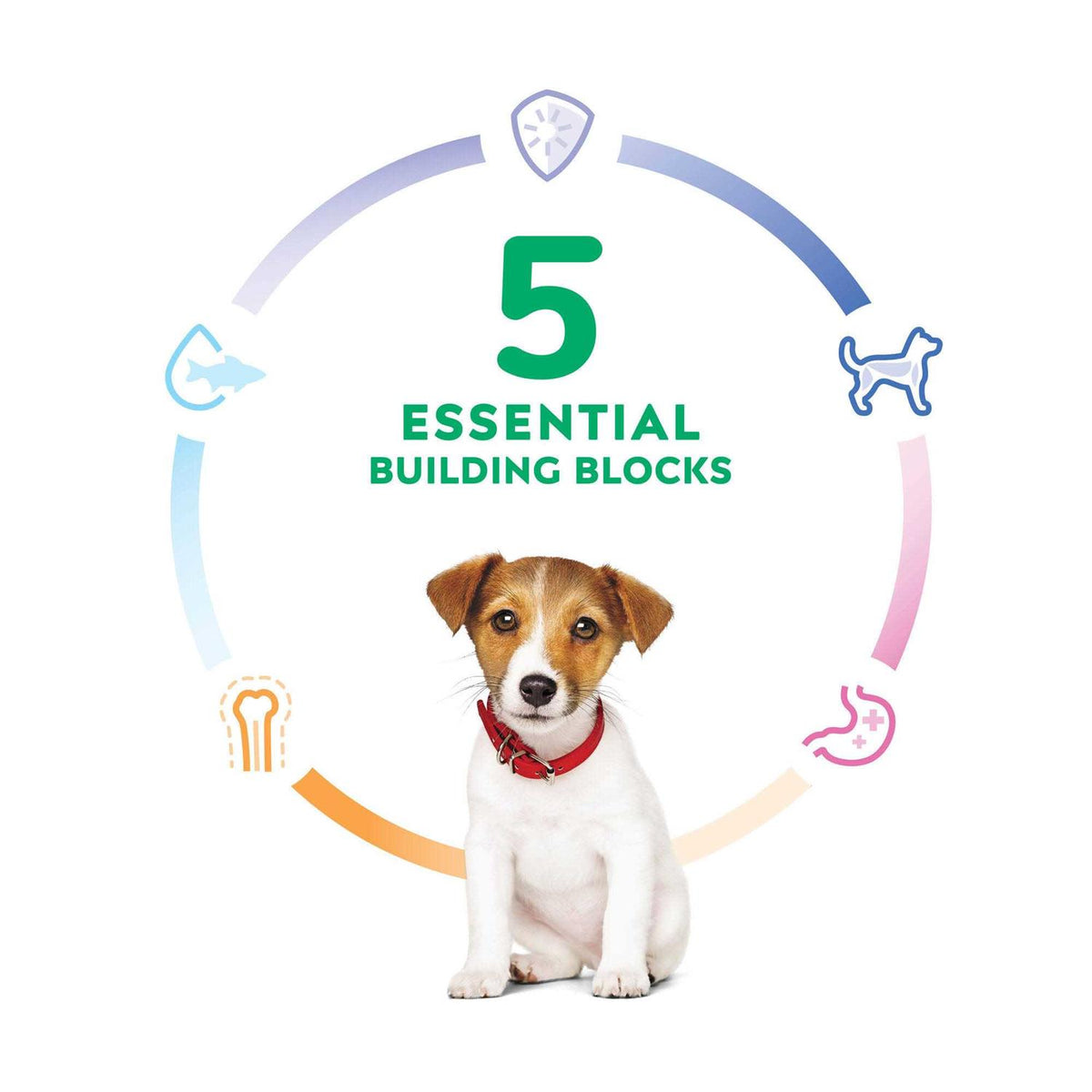 Dry Dog Food L369005