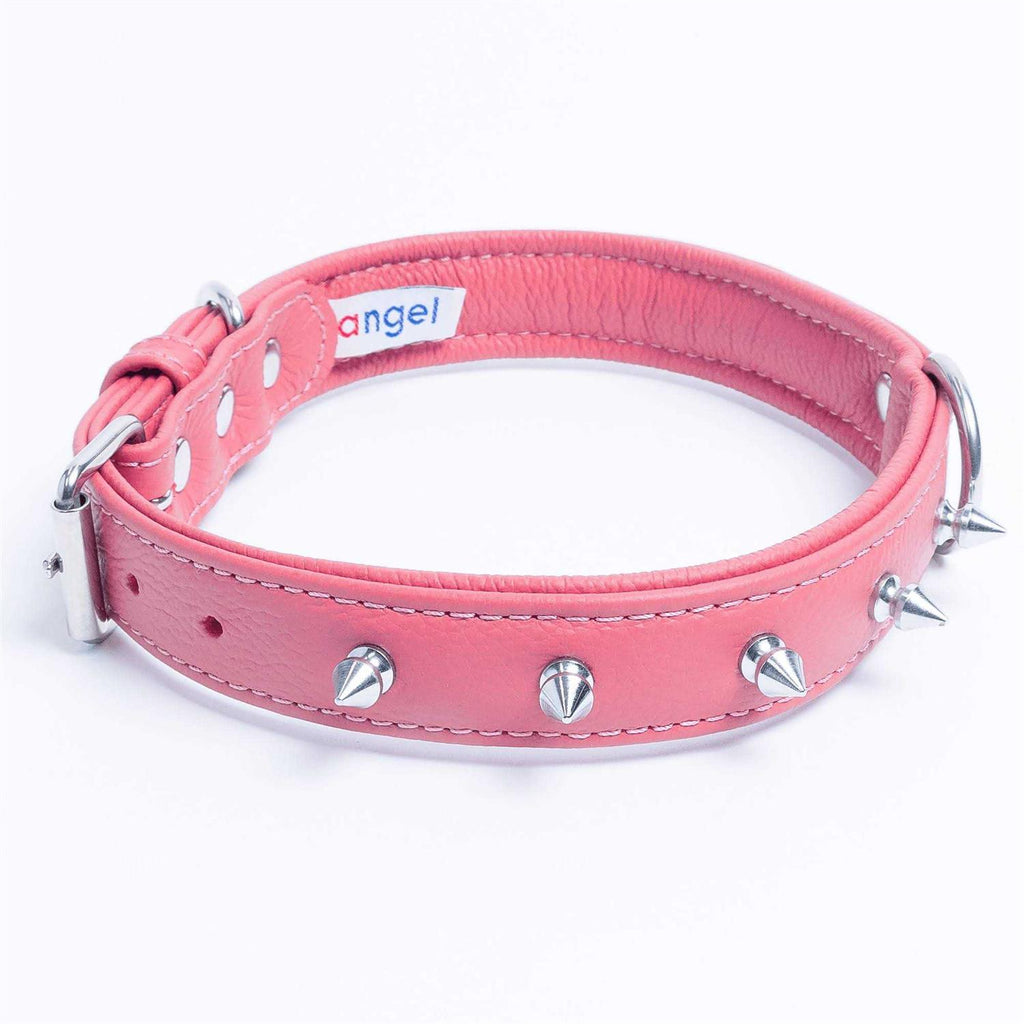 Dog Collar B11458