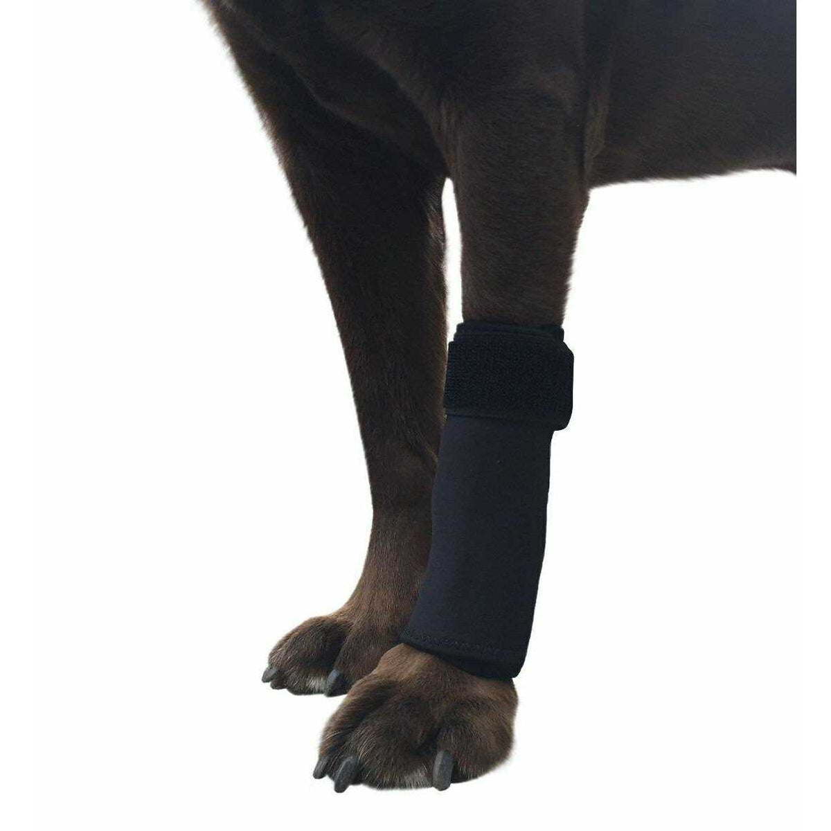 Dog Front Leg Compression Brace Sleeve G8553