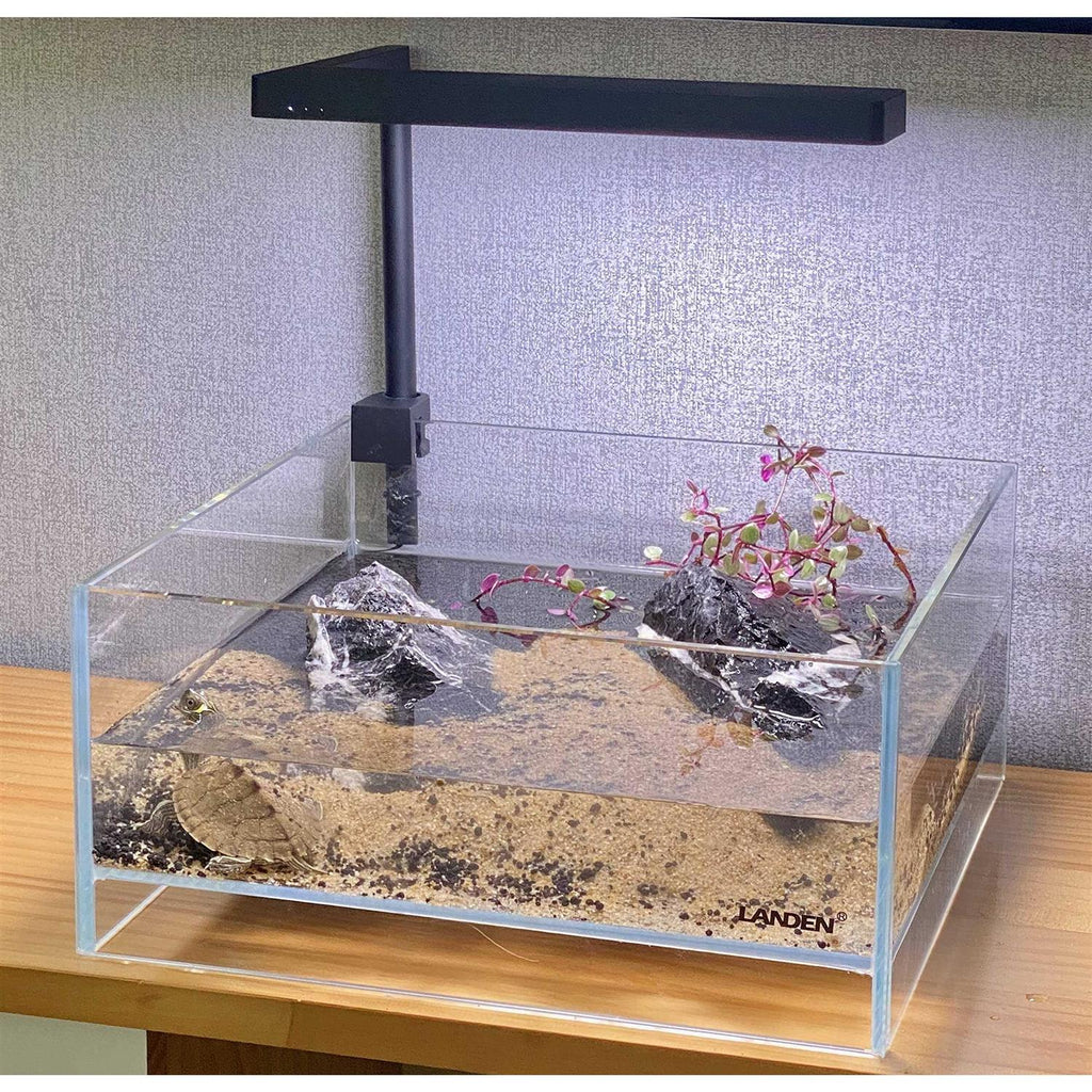 Glass Rimless Low Iron Aquarium Tank 1.6 Gallon V59385