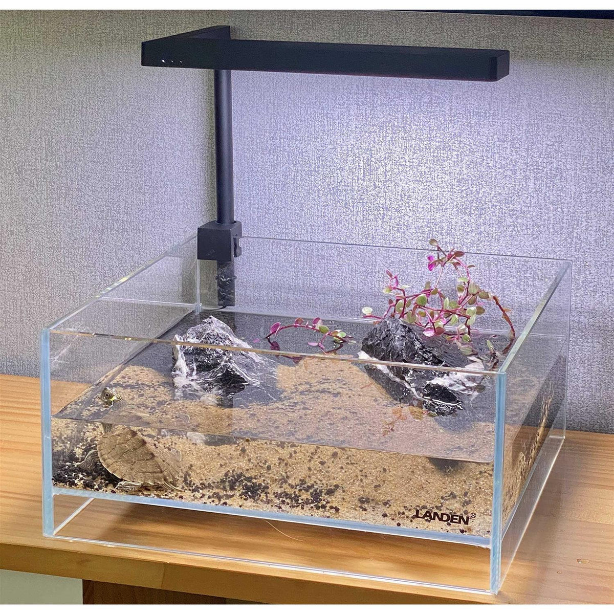 Glass Rimless Low Iron Aquarium Tank 1.6 Gallon V59385