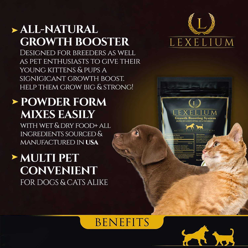 Weight Gainer Supplement for Dogs & Cats O142200