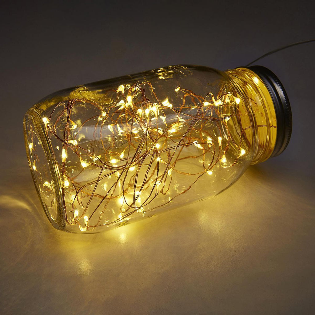 Warm White Copper Wire Lights with Remote M22815