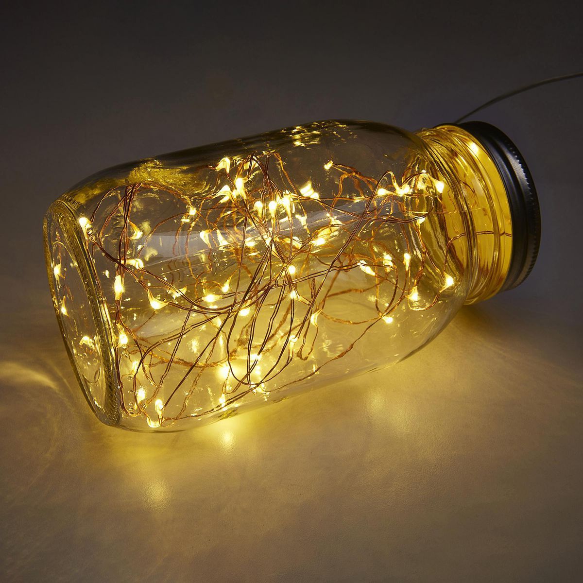 Warm White Copper Wire Lights with Remote M22815