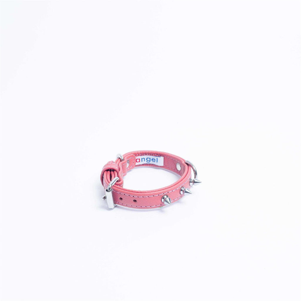 Dog Collar B11458