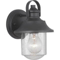 Black 9 inch Outdoor Wall Lantern with Clear Seeded Glass V66848