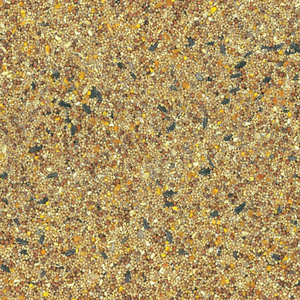 Wild Bird Food D247984