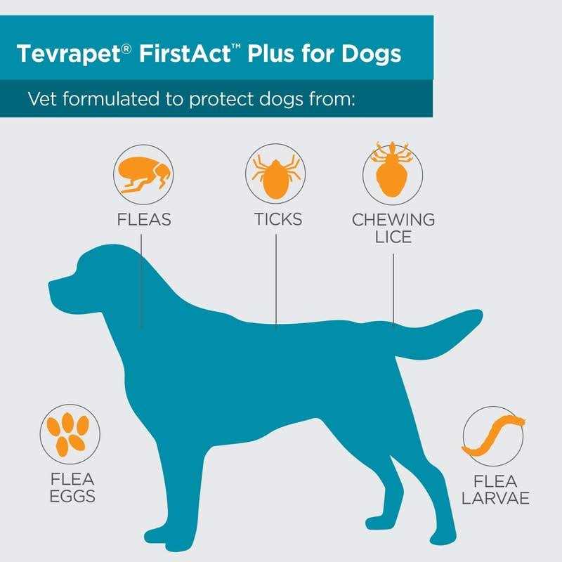 Flea and Tick Prevention Dogs Z100