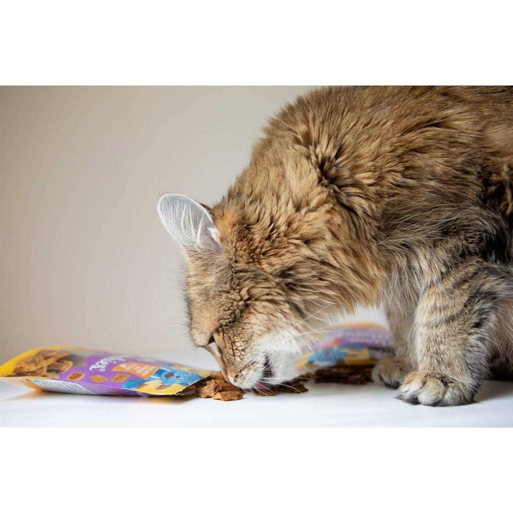 Blue Cat Bakery Meow Munchies Cats V36944
