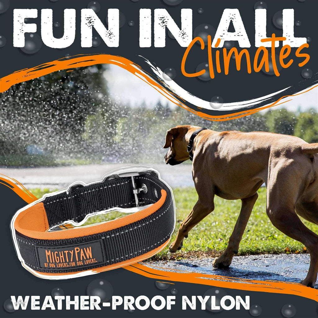 Dog Collar Y51189