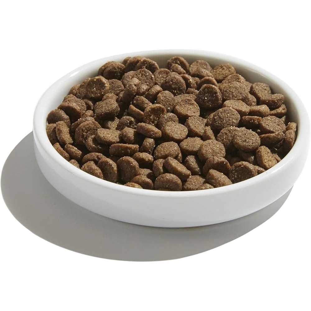Cage-Free Turkey & Pumpkin Recipe Dry Cat Food D931