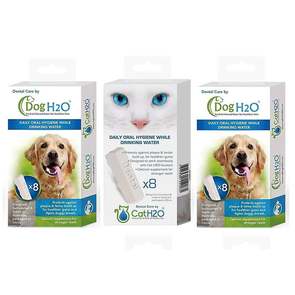 Dental Care Tablets R387751