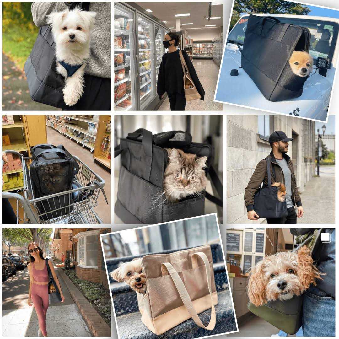 Pet Tote Bag for Small Dogs and Cats U594