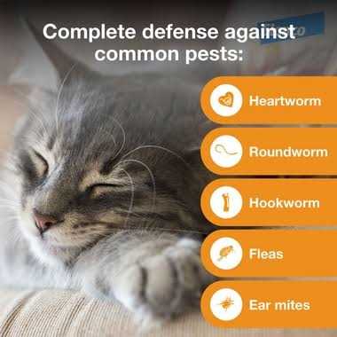 Advantage Multi for Cats E463538