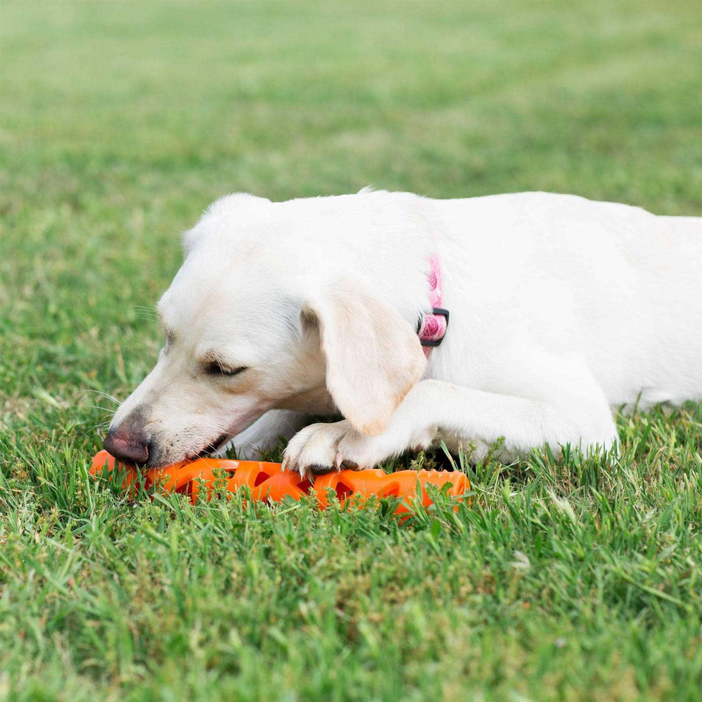 Air Fetch Stick Dog Toy K92777