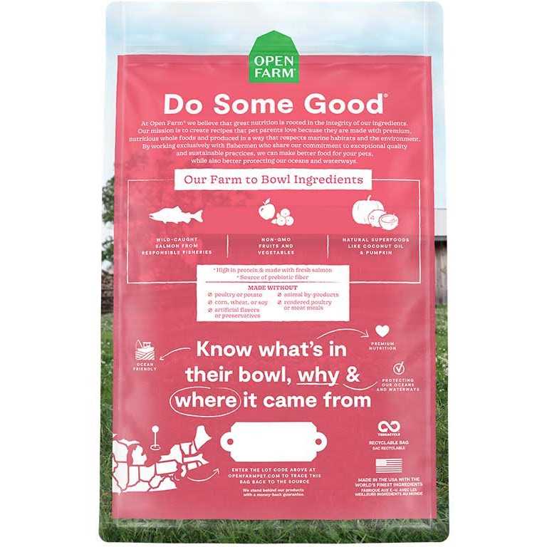 Wild-Caught Salmon Grain-Free Dry Cat Food I741867