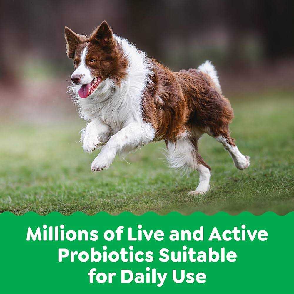 Probiotics Digestive Health Supplements for Dogs Chicken Flavor O70278
