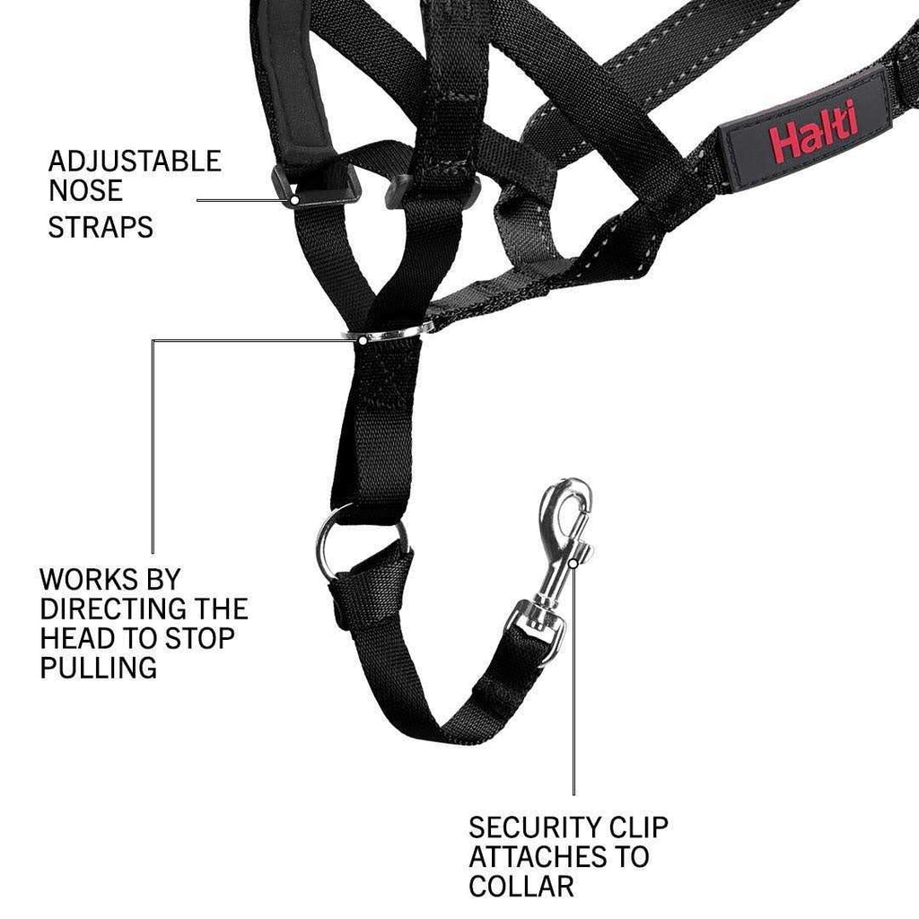 Black Head Collar and Double Lead V9886